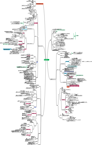 クロマトグラフィー