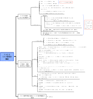 06リスクの概要とリスク管理
