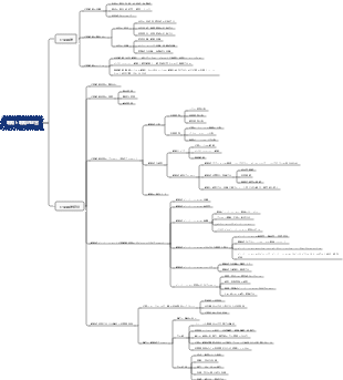 第01章 戦略と戦略的経営