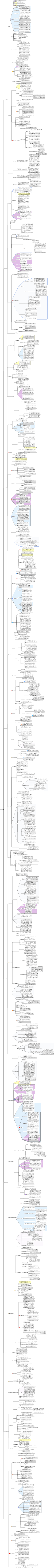 情報管理の基本
