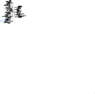 コーポレートファイナンスCFA