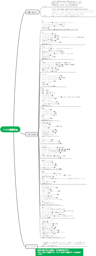 フィットネス トレーニング プランのマインド マップ
