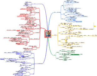 フィットネス研究所