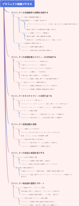 プロジェクト実施プロセス