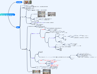 生理学 第1節 細胞膜の基本構造と物質輸送機能