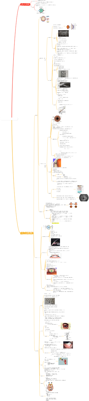 眼科の基礎BASICSOFOPHTHALMOLOGY