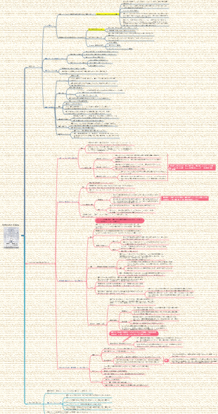 生涯にわたる成長