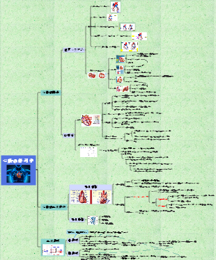 循環系（血液循環）の構成と機能