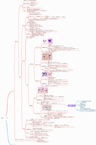 組織学と発生学 - 血液とリンパ