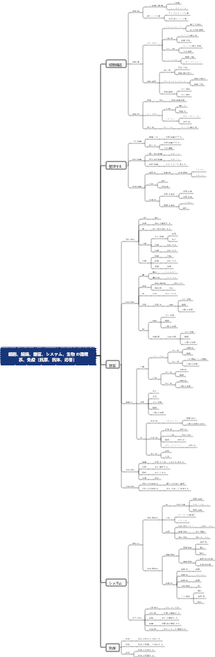 細胞、組織、器官、システム、生物の循環系、免疫（抗原、抗体、応答）
