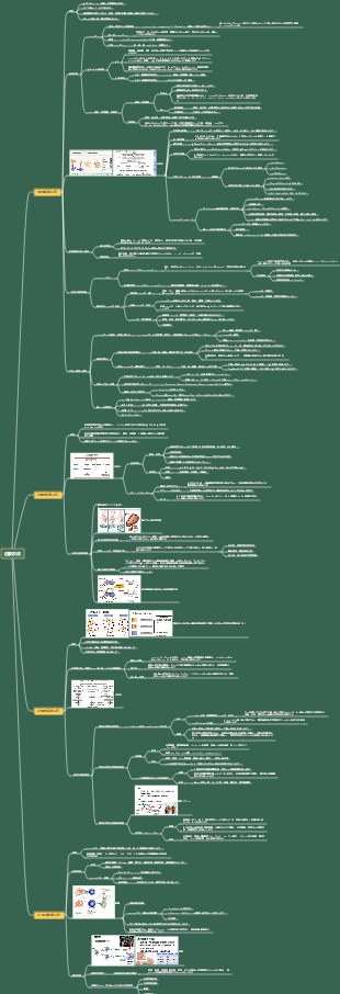 医学免疫学 - 過敏症