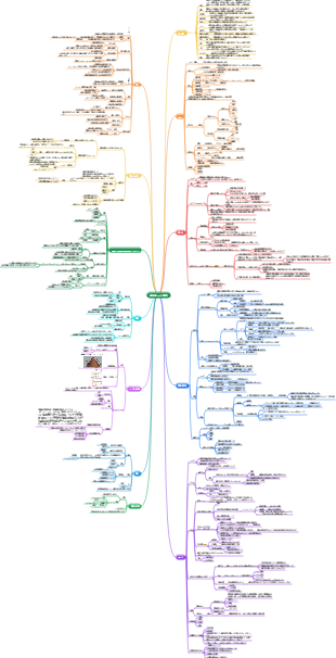 基礎心理学試験のポイント