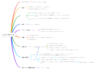 動物-小さなシマチョウのマインドマップ