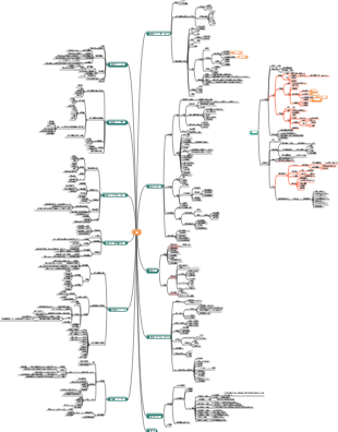 医学・口腔病学マインドマップ