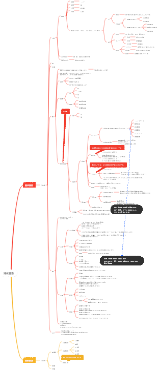 動物の解剖学、消化器系のマインドマップ