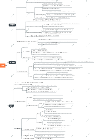 高校地理 - 人口