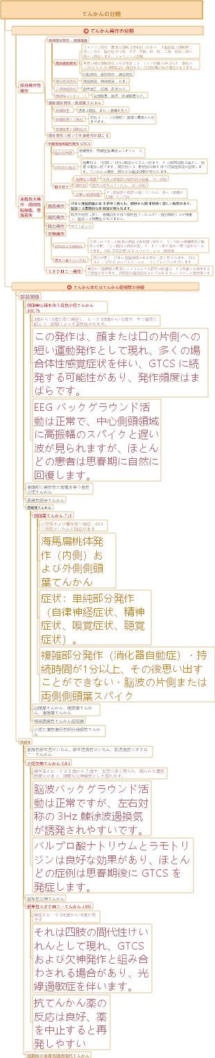 医学的てんかん分類