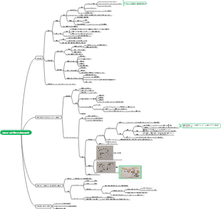 物質の生体膜・膜貫通輸送 (1) マインドマップ
