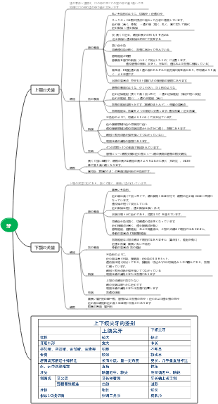 歯科 - 犬のマインドマップ
