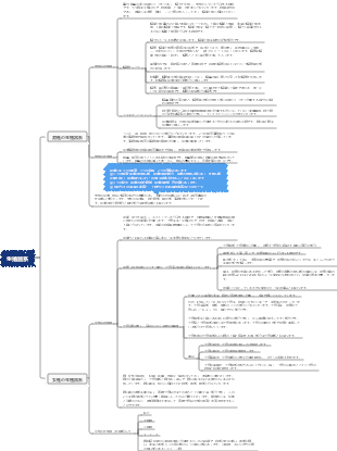 全身解剖学 - 生殖器系マインドマップ