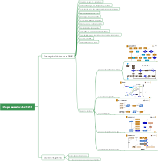 Mapa mental de PMP