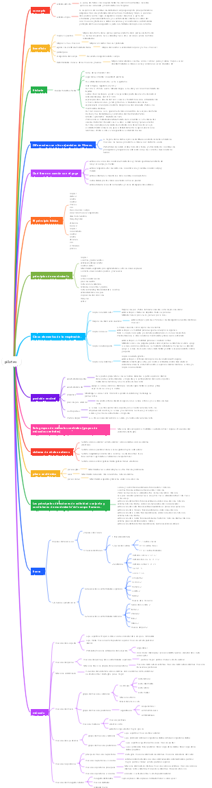Mapa mental de pilates