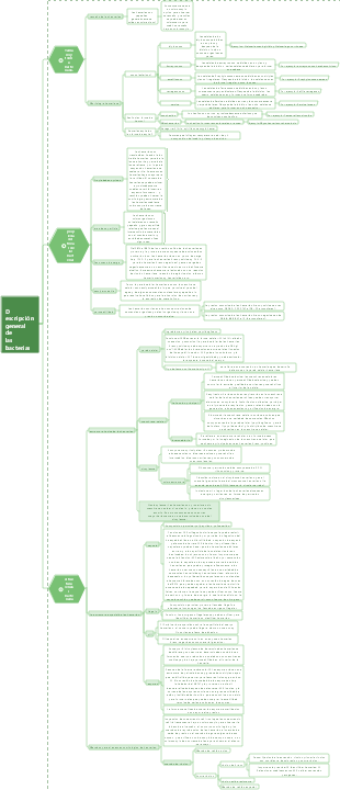 Descripción general de las bacterias