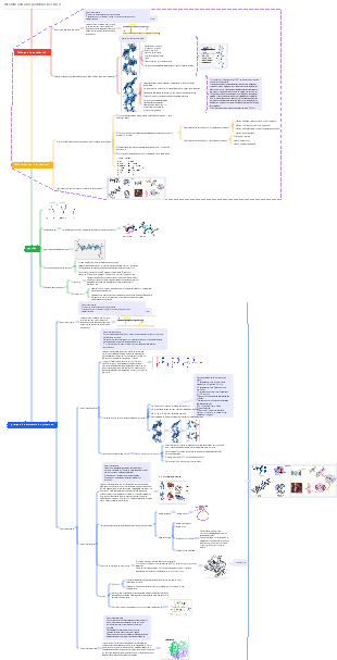 Introducción a las proteínas Lección 2