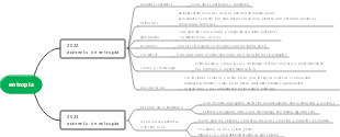 Entropía 2022