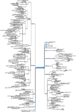 動物から神までの人類の簡単な歴史