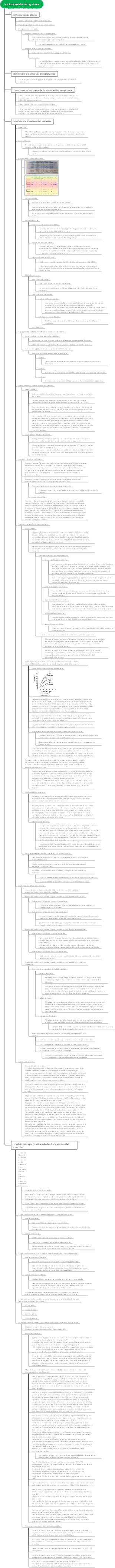 fisiología circulación sanguínea