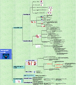 La composición y función del sistema circulatorio (circulación sanguínea).