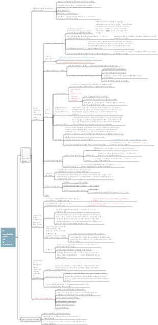 Preparación antes de la anestesia.