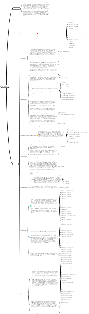 Mapa mental de la guía de subcategorías de Insecta