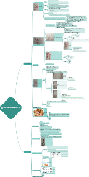 女性の生殖器系の解剖学と生理学の概要 (2)