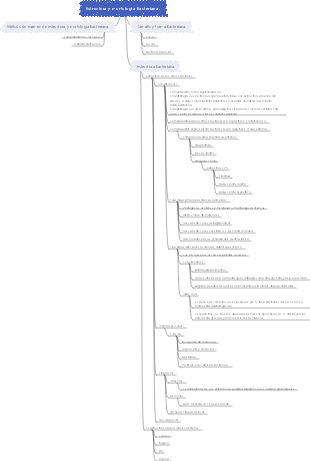 Estructura y morfología bacteriana.
