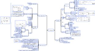 口腔粘膜マインドマップ