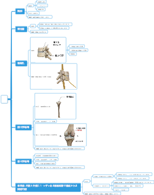 メディシンボーンマインドマップ
