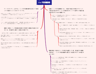 ニッチ市場戦略