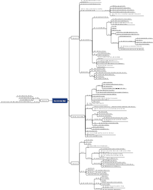 임신 중 여성 관리