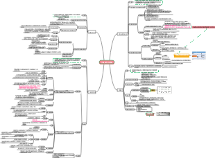 미생물-기타 원핵미생물 마인드맵