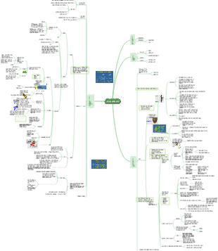 식물세포와 조직 마인드맵