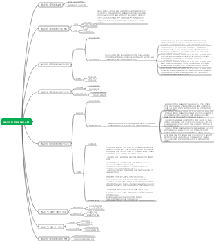 에너지 및 대사 마인드맵