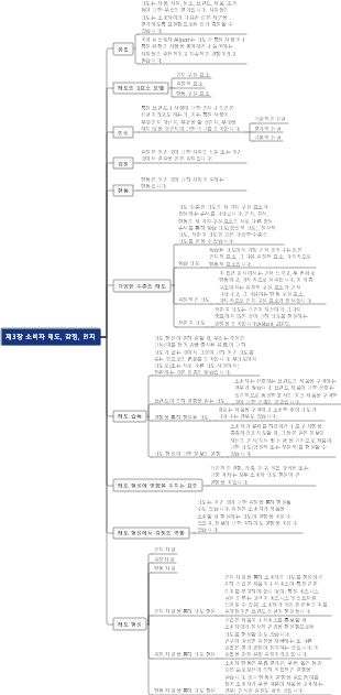소비자심리학 3장 소비자 태도, 감정, 인지
