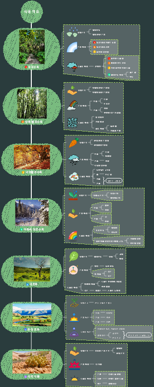 식물 개요 마인드 맵