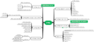 단백질 마인드맵