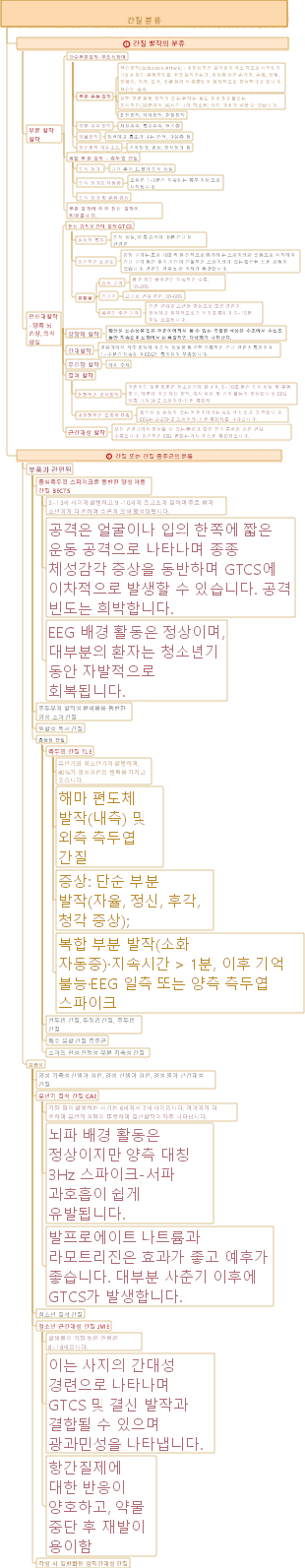 의료 간질 분류