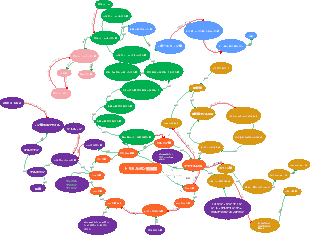 生化学代謝サイクルのマインドマップ