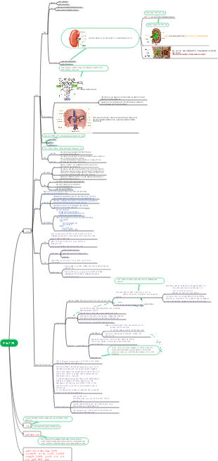 비뇨기계 마인드맵