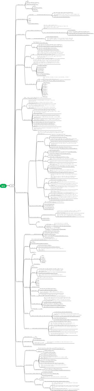 전략적 마인드맵